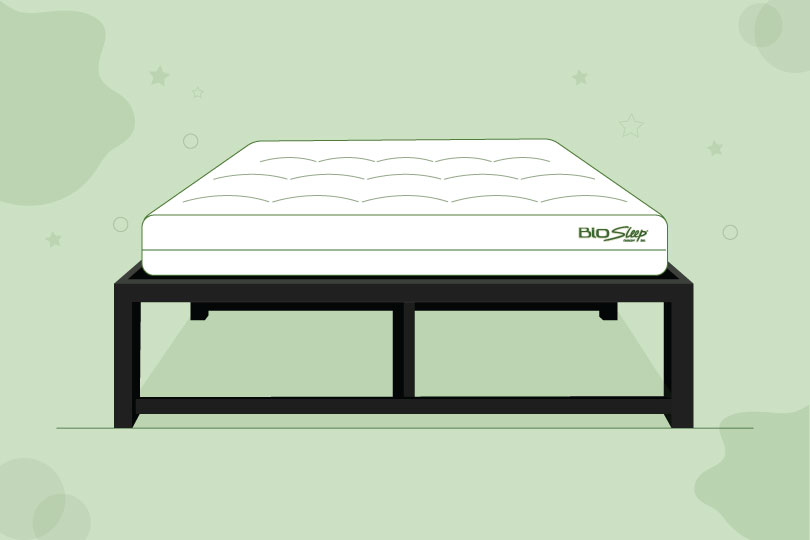 Latex Mattress Foundation